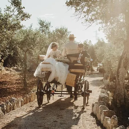 Holiday home Antica Tenuta Dei Trulli By Qualitravel Alberobello