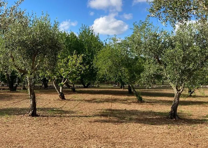 度假居 Antica Tenuta Dei Trulli By Qualitravel 阿尔贝罗贝洛